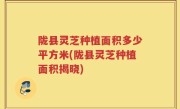 陇县灵芝种植面积多少平方米(陇县灵芝种植面积揭晓)