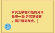 尹灵芝被铡刀斩的片段是哪一集(尹灵芝被斩，揭开谍局秘密。)