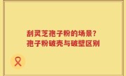 刮灵芝孢子粉的场景？孢子粉破壳与破壁区别