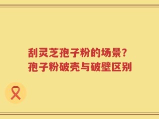 刮灵芝孢子粉的场景？孢子粉破壳与破壁区别