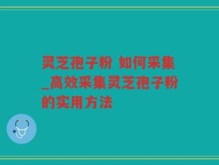 灵芝孢子粉 如何采集_高效采集灵芝孢子粉的实用方法