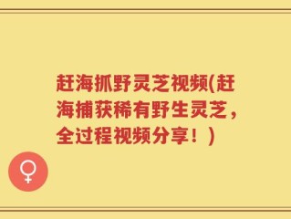 赶海抓野灵芝视频(赶海捕获稀有野生灵芝，全过程视频分享！)