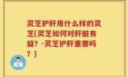 灵芝护肝用什么样的灵芝(灵芝如何对肝脏有益？-灵芝护肝重要吗？)