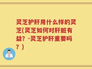 灵芝护肝用什么样的灵芝(灵芝如何对肝脏有益？-灵芝护肝重要吗？)