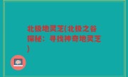 北极地灵芝(北极之谷探秘：寻找神奇地灵芝)