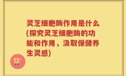 灵芝细胞酶作用是什么(探究灵芝细胞酶的功能和作用，汲取保健养生灵感)