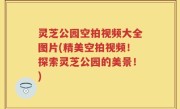 灵芝公园空拍视频大全图片(精美空拍视频！探索灵芝公园的美景！)