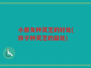 小朋友种灵芝的好处(孩子种灵芝的益处)