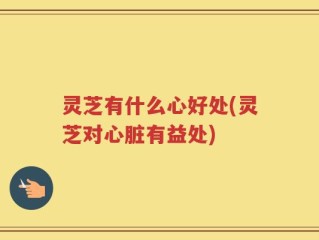 灵芝有什么心好处(灵芝对心脏有益处)