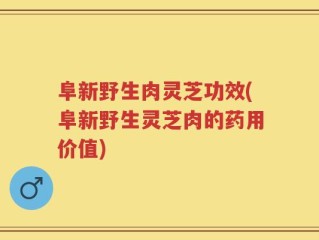 阜新野生肉灵芝功效(阜新野生灵芝肉的药用价值)