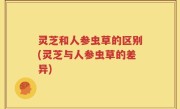 灵芝和人参虫草的区别(灵芝与人参虫草的差异)