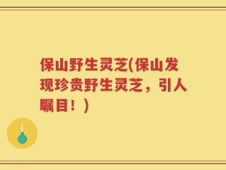 保山野生灵芝(保山发现珍贵野生灵芝，引人瞩目！)