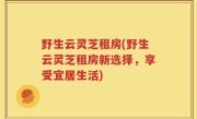 野生云灵芝租房(野生云灵芝租房新选择，享受宜居生活)