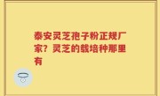 泰安灵芝孢子粉正规厂家？灵芝的载培种那里有