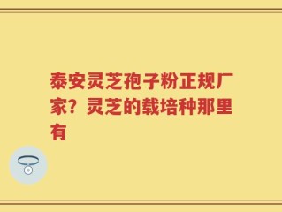 泰安灵芝孢子粉正规厂家？灵芝的载培种那里有