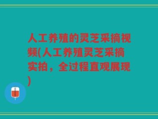 人工养殖的灵芝采摘视频(人工养殖灵芝采摘实拍，全过程直观展现)