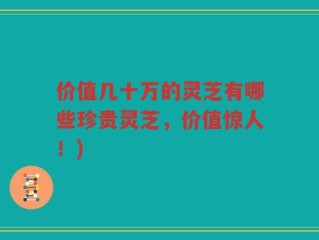 价值几十万的灵芝有哪些珍贵灵芝，价值惊人！)
