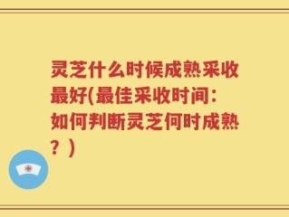 灵芝什么时候成熟采收最好(最佳采收时间：如何判断灵芝何时成熟？)