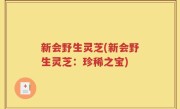 新会野生灵芝(新会野生灵芝：珍稀之宝)