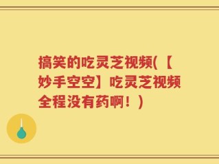 搞笑的吃灵芝视频(【妙手空空】吃灵芝视频全程没有药啊！)