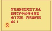 梦见棺材变灵芝了怎么回事(梦中的棺材竟变成了灵芝，究竟是何缘由？)