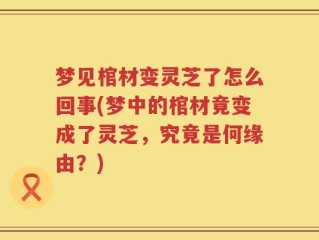 梦见棺材变灵芝了怎么回事(梦中的棺材竟变成了灵芝，究竟是何缘由？)