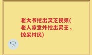 老大爷挖出灵芝视频(老人家意外挖出灵芝，惊呆村民)