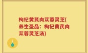 枸杞黄芪肉苁蓉灵芝(养生圣品：枸杞黄芪肉苁蓉灵芝汤)