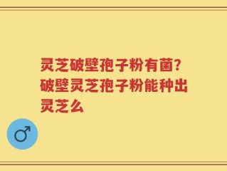 灵芝破壁孢子粉有菌？破壁灵芝孢子粉能种出灵芝么