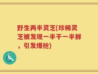 野生两半灵芝(珍稀灵芝被发现一半干一半鲜，引发爆抢)