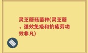 灵芝蘑菇菌种(灵芝蘑，强效免疫和抗疲劳功效非凡)