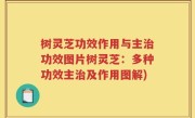 树灵芝功效作用与主治功效图片树灵芝：多种功效主治及作用图解)