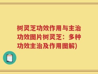 树灵芝功效作用与主治功效图片树灵芝：多种功效主治及作用图解)
