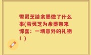 雪灵芝给余墨做了什么事(雪灵芝为余墨带来惊喜：一场意外的礼物！)