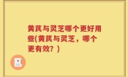 黄芪与灵芝哪个更好用些(黄芪与灵芝，哪个更有效？)