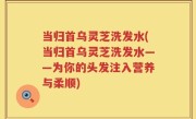 当归首乌灵芝洗发水(当归首乌灵芝洗发水——为你的头发注入营养与柔顺)