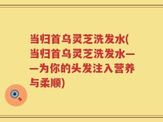 当归首乌灵芝洗发水(当归首乌灵芝洗发水——为你的头发注入营养与柔顺)