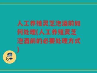 人工养殖灵芝泡酒前如何处理(人工养殖灵芝泡酒前的必要处理方式)