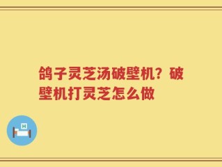 鸽子灵芝汤破壁机？破壁机打灵芝怎么做