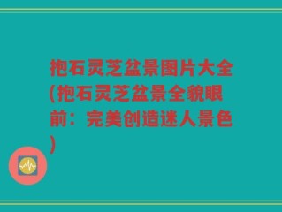 抱石灵芝盆景图片大全(抱石灵芝盆景全貌眼前：完美创造迷人景色)