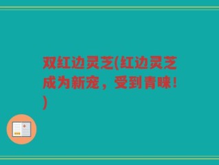 双红边灵芝(红边灵芝成为新宠，受到青睐！)