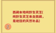 西藏本地纯野生灵芝(纯野生灵芝来自西藏，是绝佳的天然补品)