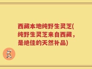 西藏本地纯野生灵芝(纯野生灵芝来自西藏，是绝佳的天然补品)