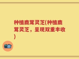 种植鹿茸灵芝(种植鹿茸灵芝，呈现双重丰收)