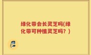 绿化带会长灵芝吗(绿化带可种植灵芝吗？)