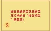 湖北恩施的灵芝恩施灵芝打响农业“绿色转型”新篇章)