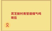 灵芝新村用管道煤气吗现在