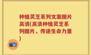 种植灵芝系列文案图片高清(高清种植灵芝系列图片，传递生命力量)
