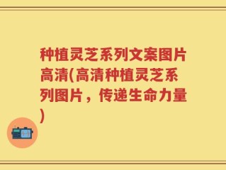 种植灵芝系列文案图片高清(高清种植灵芝系列图片，传递生命力量)
