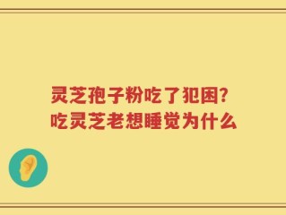灵芝孢子粉吃了犯困？吃灵芝老想睡觉为什么